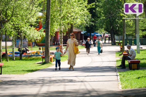 Погода в Коми 20 июня: местами небольшой дождь, +12...+17°С