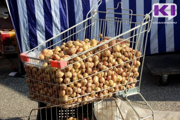 За неделю в Коми подешевел картофель, но подорожали колбасы