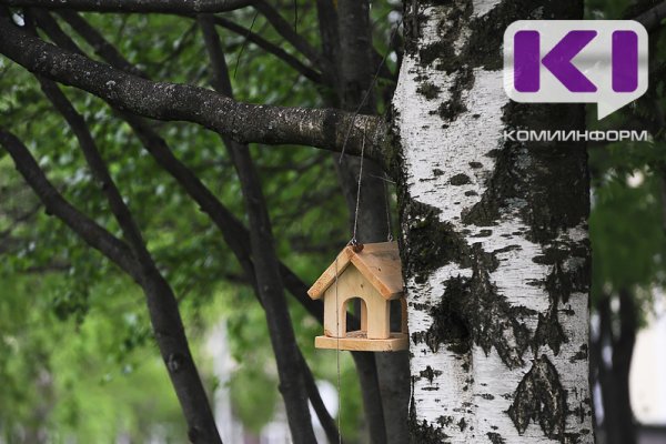 Погода в Коми 24 июня: местами дождь, +10...+12°С