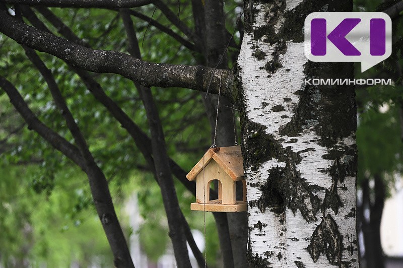 Погода в Коми 24 июня: местами дождь, +10...+12°С