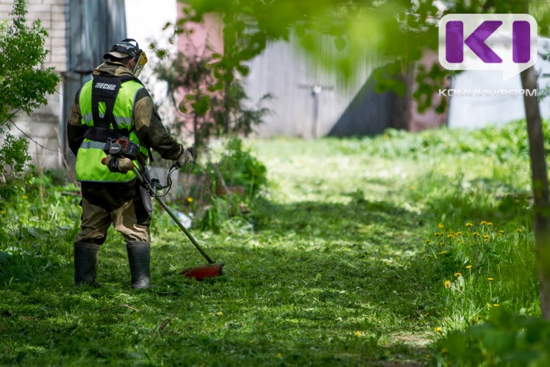 Как управляющие организации и ТСЖ должны содержать придомовую территорию многоквартирного дома летом