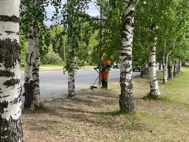 Покос травы: сыктывкарское предприятие "Дорожное хозяйство" наводит порядок на улицах города