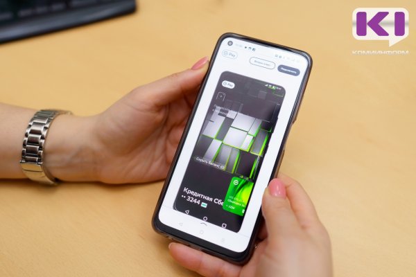 Более половины онлайн-платежей в СЗФО совершается с помощью SberPay

