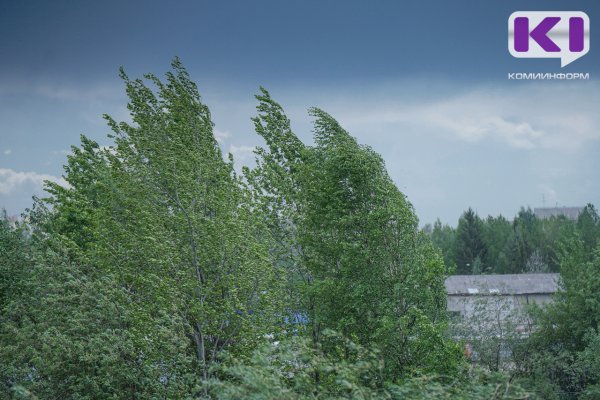 На Коми надвигаются грозы и ливни 