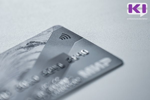 Житель Ростова-на-Дону обвиняется в хищении у жителя Печоры 250 тыс. рублей