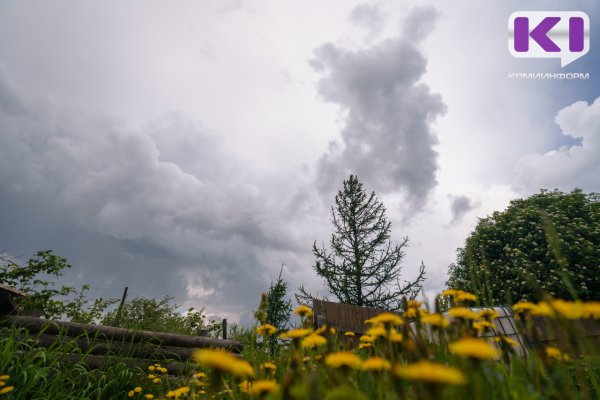 Погода в Коми 29 июня: местами дождь и гроза, +16...+21°С
