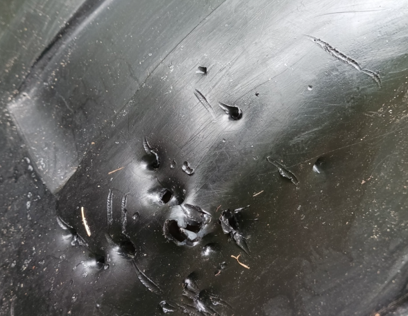 В Коми медведь "атаковал" мотобуксировщик в лесу