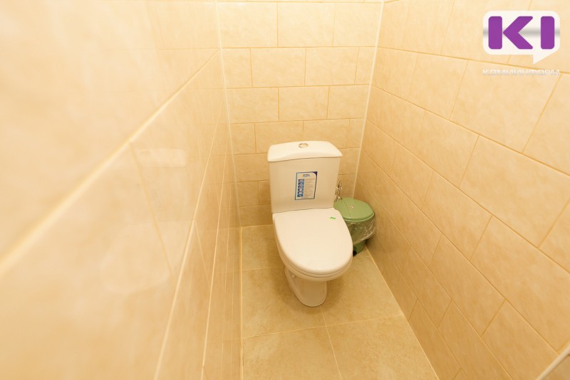 Жительница Усть-Вымского района нашла в унитазе бара сотовый телефон и украла его