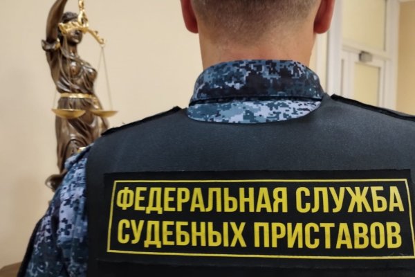 Житель Ижемского района расплатился за незаконную рубку елок и берез