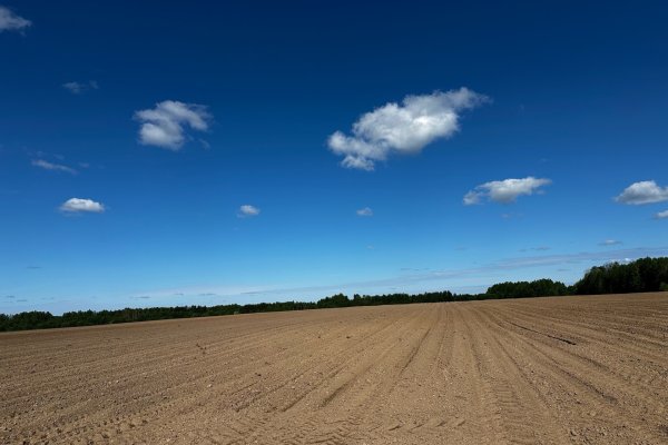 Хозяйства Коми завершили яровой сев и приступили к заготовке кормов