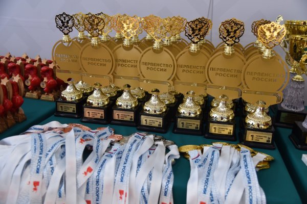 Сборная Коми завоевала три медали первенства России по боксу