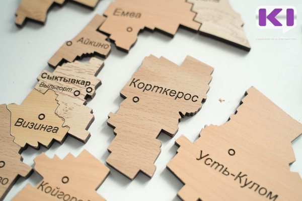 В Корткеросский суд поступило уголовное дело в отношении директора ООО 