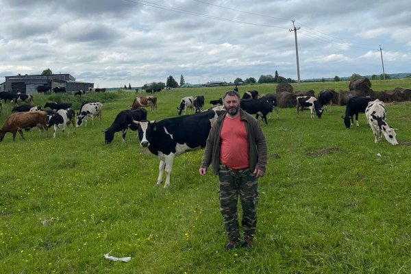 Фермерское хозяйство в Усть-Вымском районе отмечает 10-летний юбилей