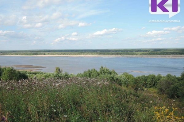 Проведены спасательные археологические полевые работы вблизи сыктывкарского поселка Седкыркещ