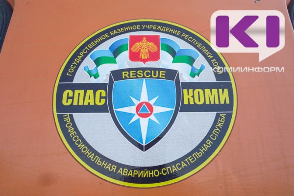 В Корткеросском районе в лесу потерялись мальчик и его отец 