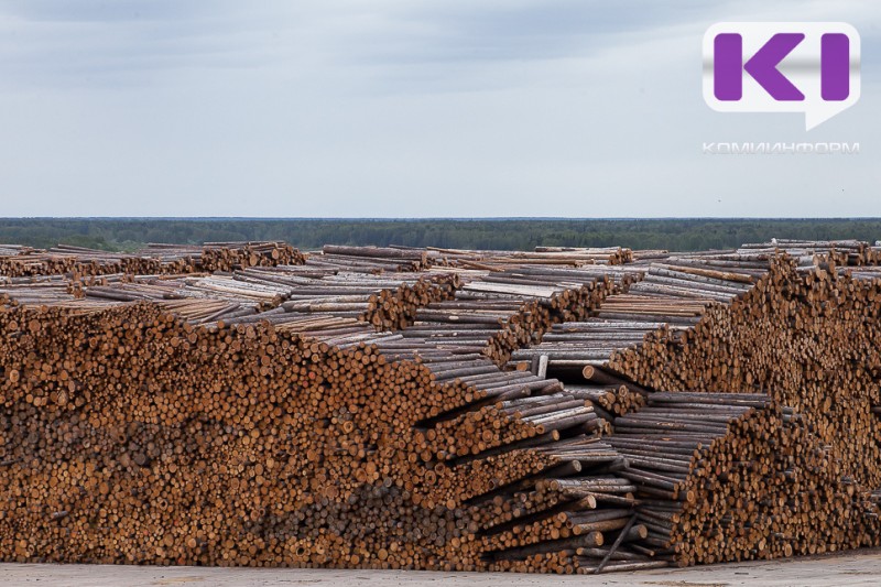 За полгода из Коми на экспорт отправили 823 тыс. кубометров лесопродукции
