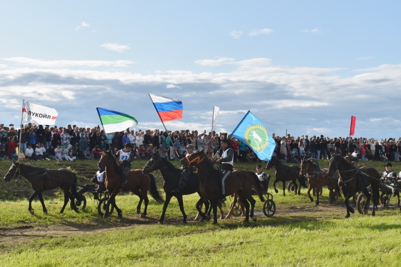 Алексей Артеев стал трехкратным чемпионом конноспортивных гонок в Ижме