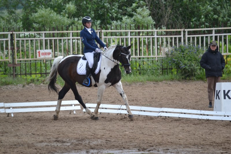 В Коми завершились чемпионат и первенство РК по выездке