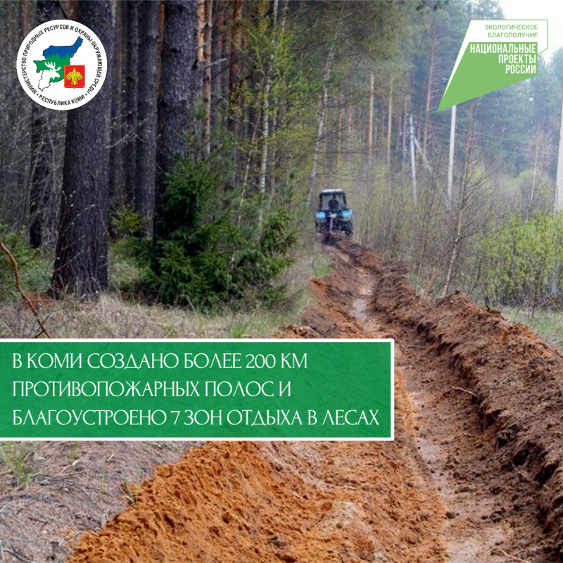 В Коми создано более 200 км противопожарных полос и благоустроено 7 зон отдыха в лесах