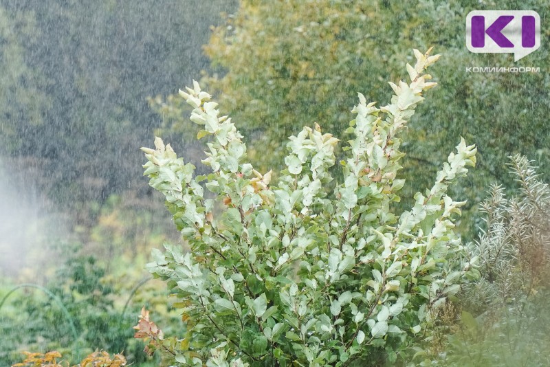В Коми возвращаются ливни