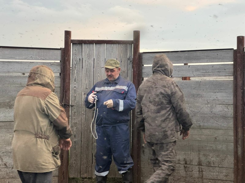 Ветеринары Коми отправились в тундру прививать оленей от смертельной болезни