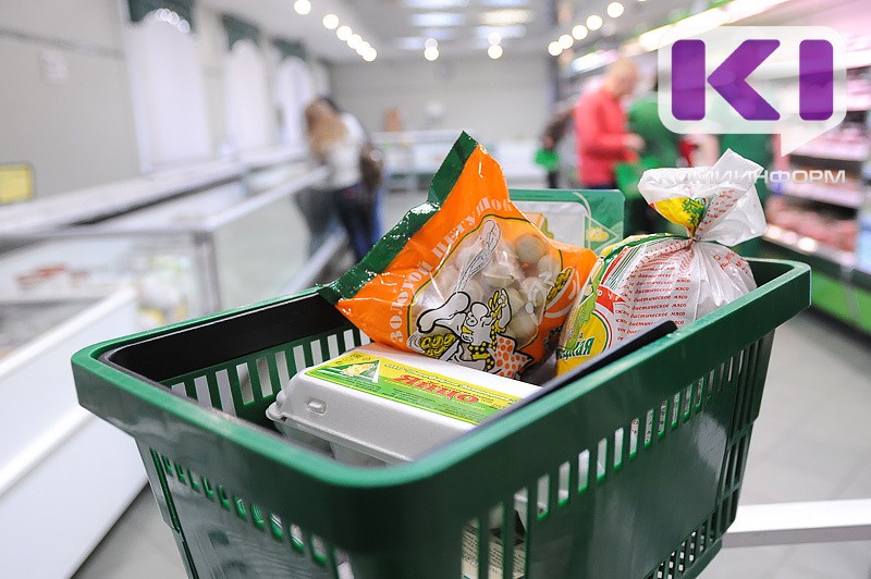 В Коми малообеспеченные кормящие матери могут дольше получать пособие на покупку продуктов