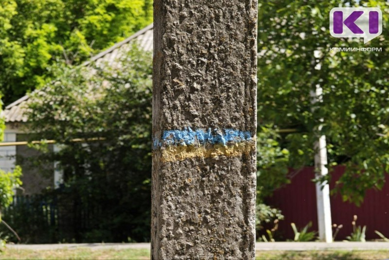 Избирательная комиссия Коми сняла с выборов в Госсовет РК двух уроженцев Украины