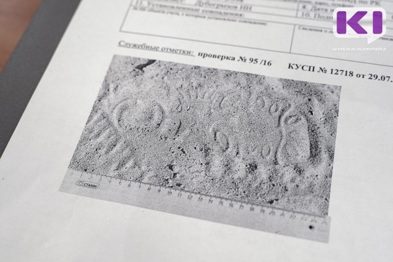 Житель Ижемского района обвиняется в двойном убийстве из хулиганских побуждений