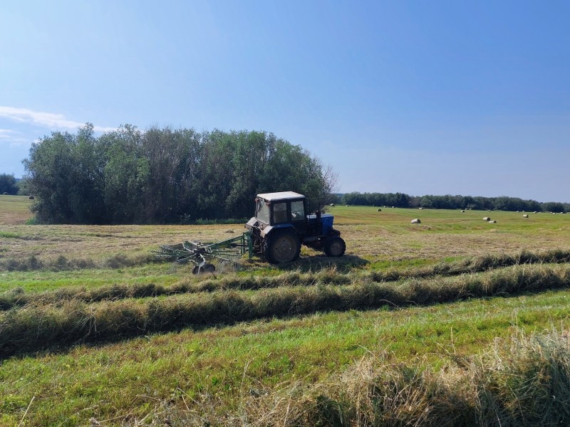 В Коми продолжается заготовка кормов