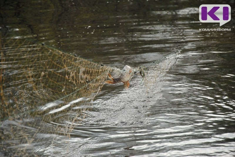 В Троицко-Печорском районе поймали браконьера