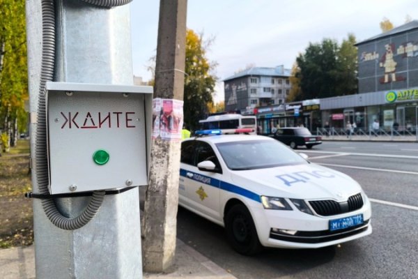 В Сыктывкаре у четырех школ установят светофор с кнопкой