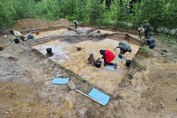 Археологи показали спасательные раскопки 