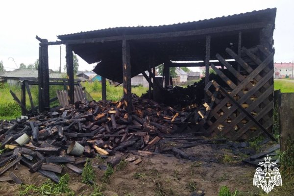 В селе Усть-Нем сгорел дровяник