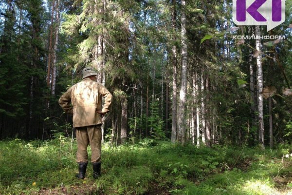 Спасатели выезжали на поиски потерявшегося в лесу в Усть-Цилемском районе