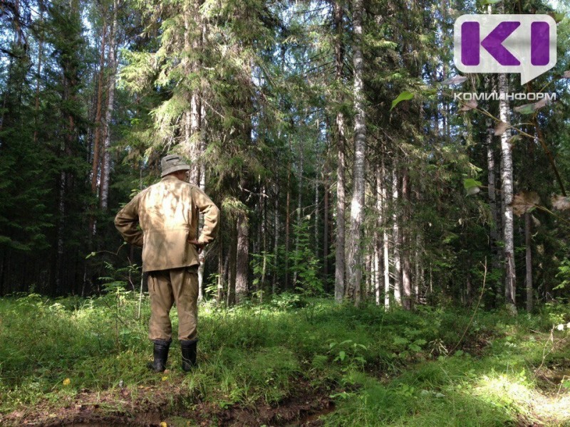 Спасатели выезжали на поиски потерявшегося в лесу в Усть-Цилемском районе