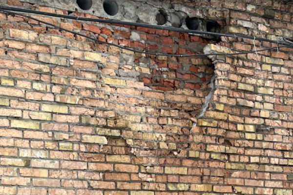 Животные задыхаются от плесени, а на новый дом не хватает 4,5 млн рублей: приют 