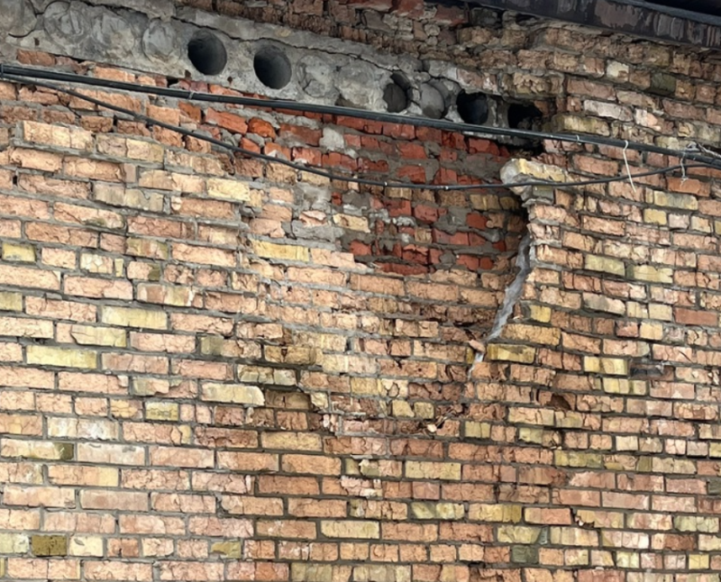 Животные задыхаются от плесени, а на новый дом не хватает 4,5 млн рублей: приют "Кошки за окошком" просит помощи