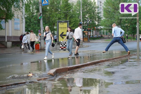 Погода в Коми 24 июля: местами дождь и гроза, +12...+26°С
