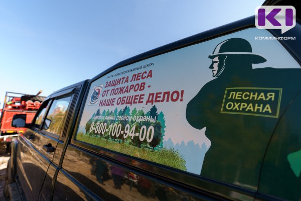 В Коми ожидается IV-V класс пожароопасности