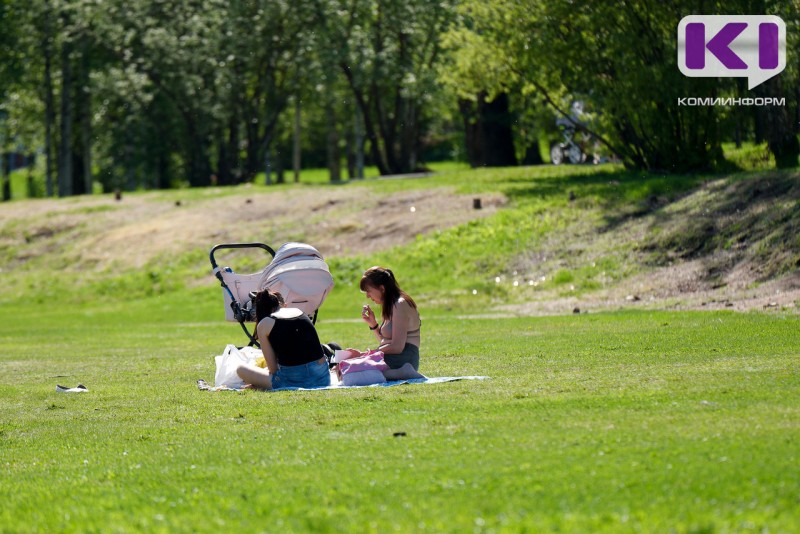 Погода в Коми 27 июля: до +29°С, без осадков