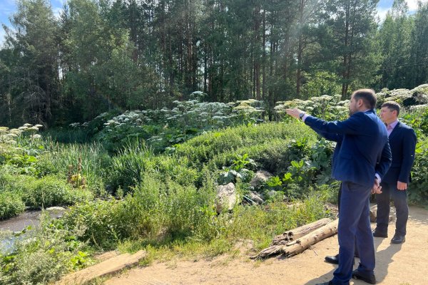 Свалки и спорные лесные территории: Минприроды на местах решает вопросы жителей﻿