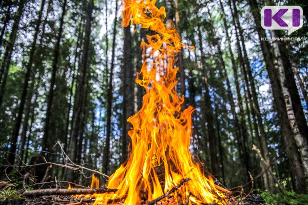 На прошлой неделе леса в Коми горели четыре раза