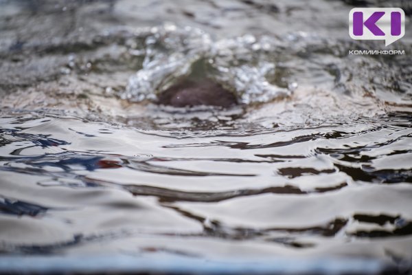 В Прилузском районе обнаружено тело утонувшего молодого человека