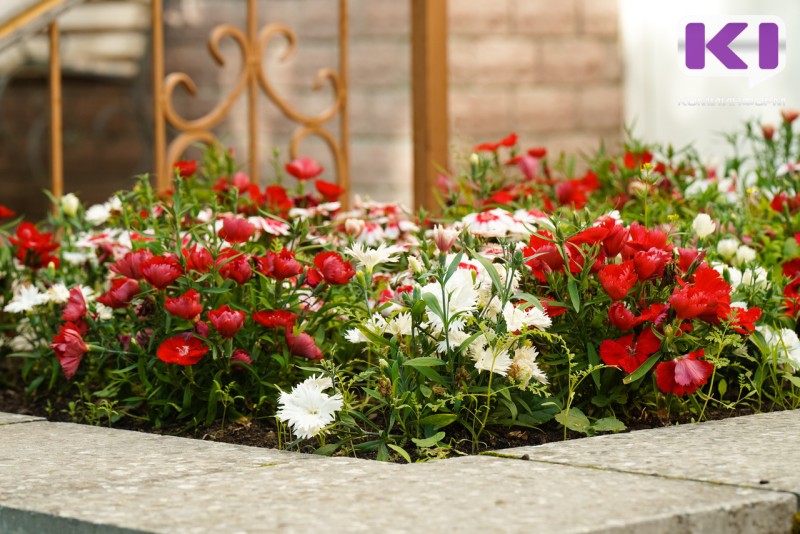 Погода в Коми 30 июля: облачно, +22...+27°С