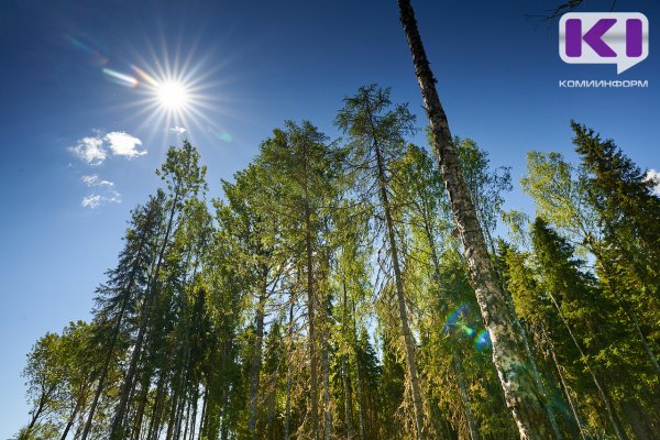 В Корткеросском районе спасатели вывели из чащи 72-летнюю пенсионерку