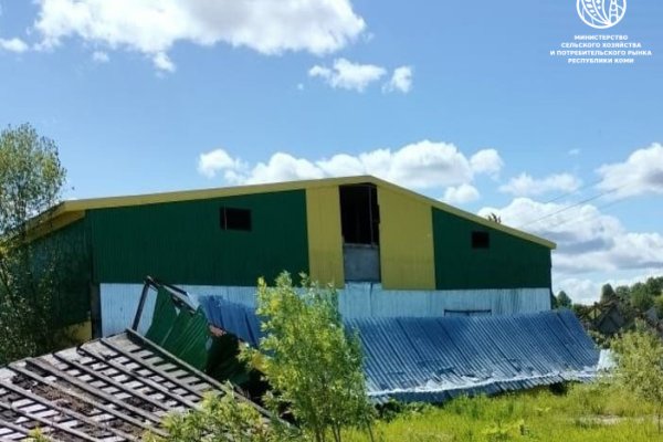 С помощью гранта в Сыктывдинском районе отремонтируют коровник для 200 голов молочного стада