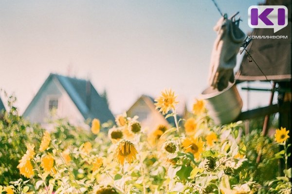 Коми переживает пик жаркой погоды