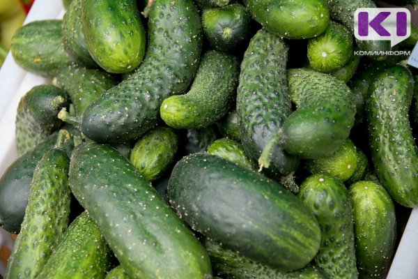 В Коми за неделю подорожали огурцы, но подешевели сосиски и сардельки