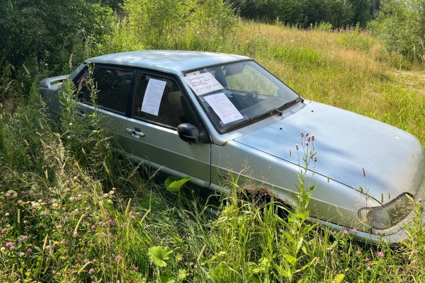 В администрацию Эжвы с начала года поступило 42 заявки об уборке 