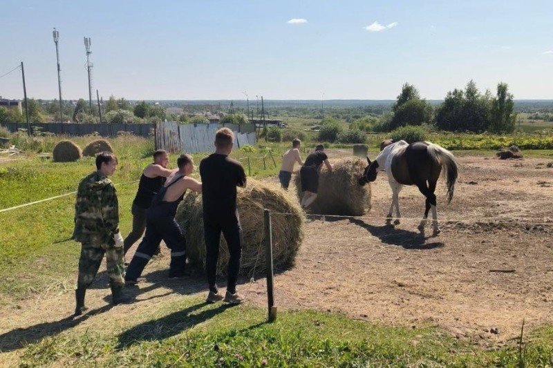 В Коми осужденные к принудительным работам проходят психологическую реабилитацию, ухаживая за лошадьми